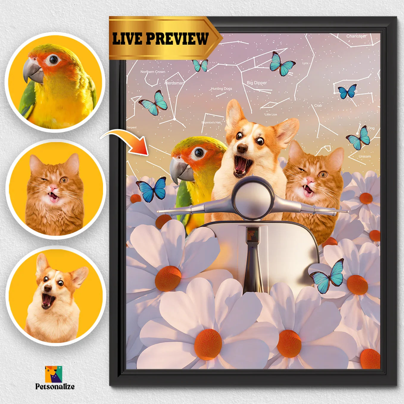 DAISIES- Personalized Pet Poster - Petsonalize