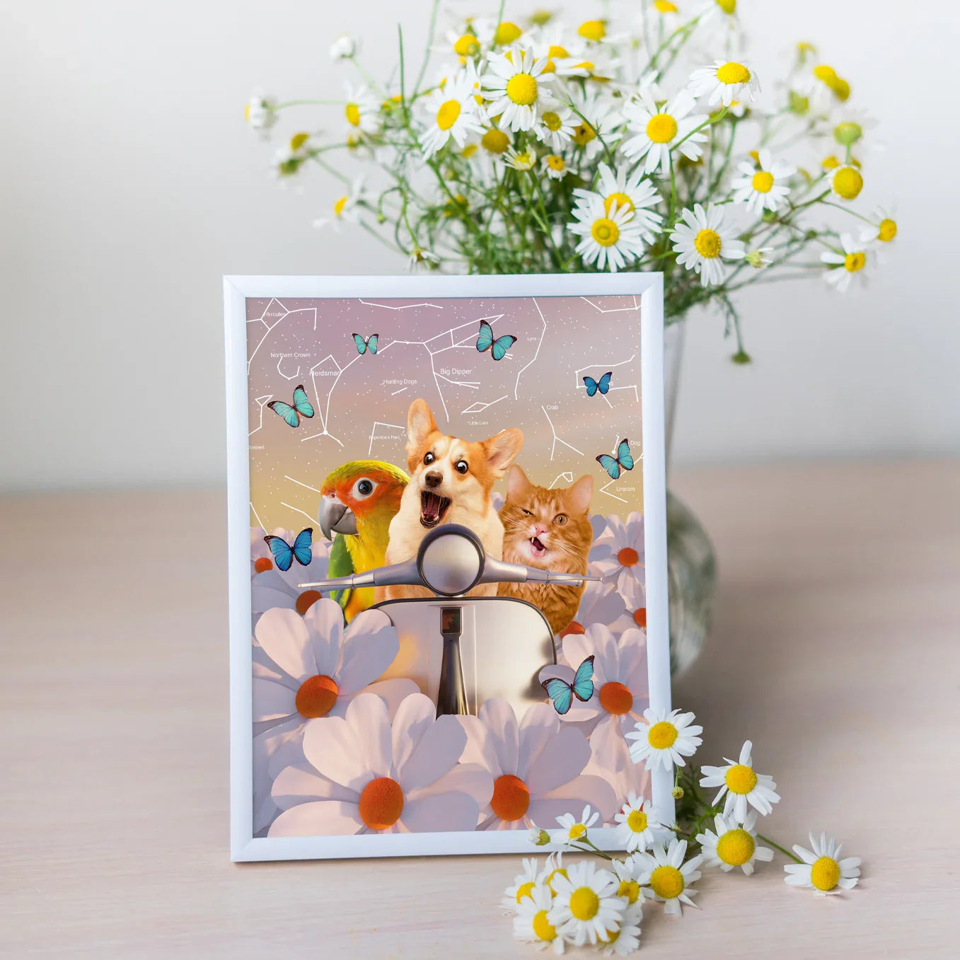 DAISIES- Personalized Pet Poster - Petsonalize